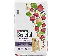Beneful Playful Life Dog Food Dry Real Beef Accented With Egg - 14 Lb