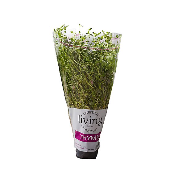 North Shore Living Potted Thyme - Each