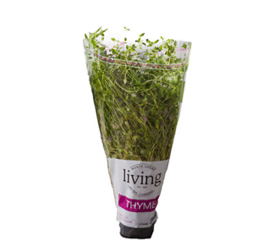 North Shore Living Potted Thyme - Each