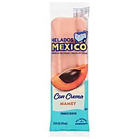 Mexico Mamey Bar - 4 Oz - Image 1