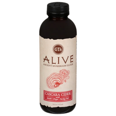 GTs Tea Adaptogenic Alive Cascara Spice - 16 Fl. Oz. - Image 3