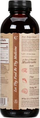GTs Tea Adaptogenic Alive Cascara Spice - 16 Fl. Oz. - Image 6