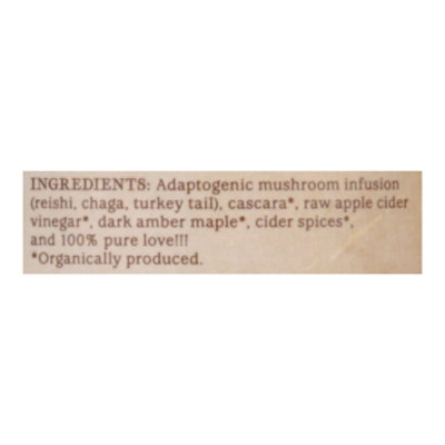 GTs Tea Adaptogenic Alive Cascara Spice - 16 Fl. Oz. - Image 5