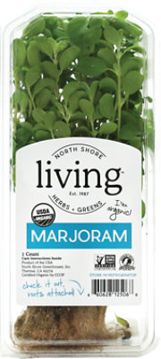 North Shore Living Marjoram Organic - Each - Image 1