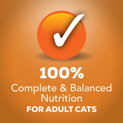 Friskies Cat Food Wet Extra Gravy Beef - 24-5.5 Oz - Image 3