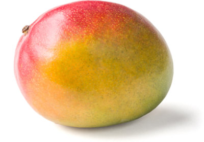 Extra Large Red Mango