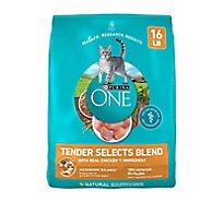 Purina ONE Tender Selects Chicken Dry Cat Food - 16 Lbs