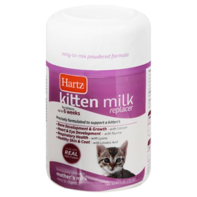 Kitten milk outlet substitute