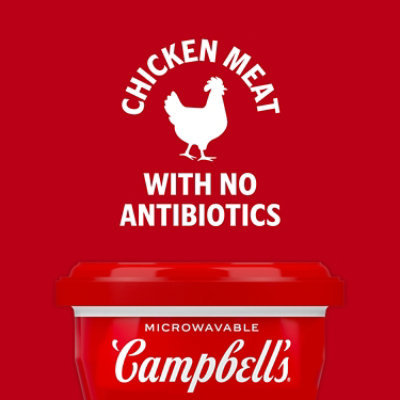 Campbell's Homestyle Chicken Noodle Soup - 4 Ct - 7 Oz - Image 2