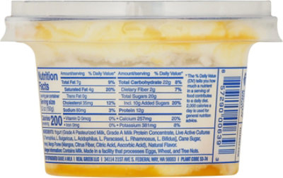 Ellenos Yogurt Greek Mango - 5.3 Oz - Image 6