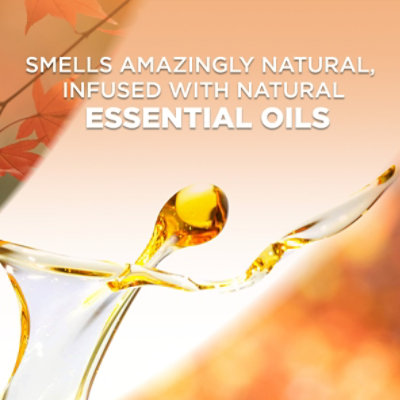 Air Wick Plug In Brown Sugar Vanilla Air Freshener - 2 Count - Image 5
