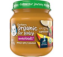 Gerber 2nd Foods Organic Mango Apple Banana Baby Food Jar Multipack - 10-4 Oz