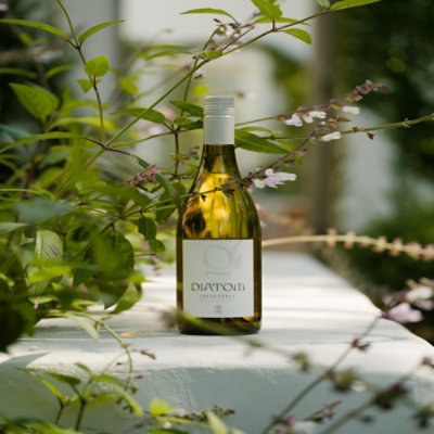 Diatom Santa Barbara County Chardonnay White Wine - 750 Ml - Image 3