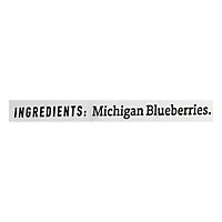 Frozen Local Michigan Blueberries - 32 Oz - Image 5