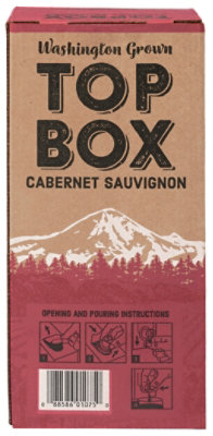 Top Box Wine Cabernet Sauvignon - 3 Liter - Image 5