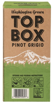 Top Box Pinot Grigio White Box Wine - 3 Liter - Image 5