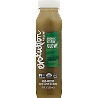 Evolution Celery Glow Organic - Image 2