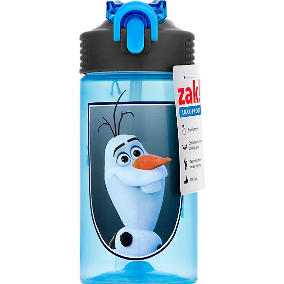 Frozen 2 Boy Park Straw Bottle - Each