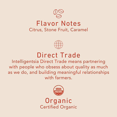 Intelligentsia El Gallo Organic Medium Roast Ground Coffee Bag - 11 Oz - Image 3