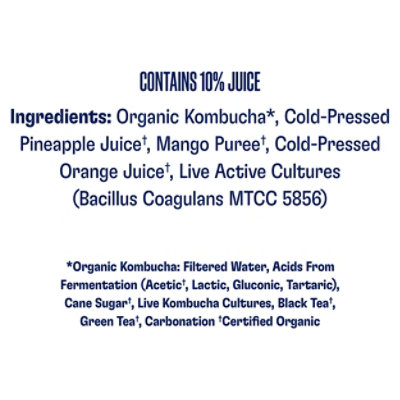 Health Ade Kombucha Tropical Punch - 16 Fl. Oz. - Image 5