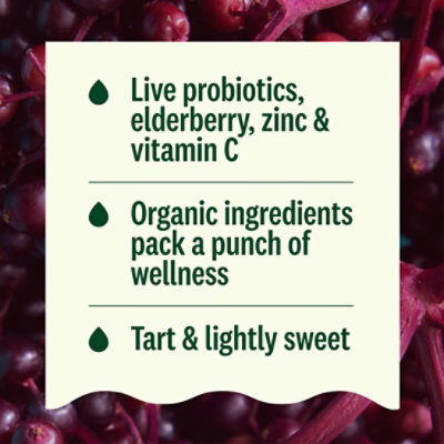 Suja Organic Immunity Elderberry Apple Shot - 2 Fl. Oz. - Image 2