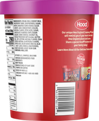 Hood New England Creamery Martha's Vineyard Black Raspberry Ice Cream - 1 Quart - Image 6