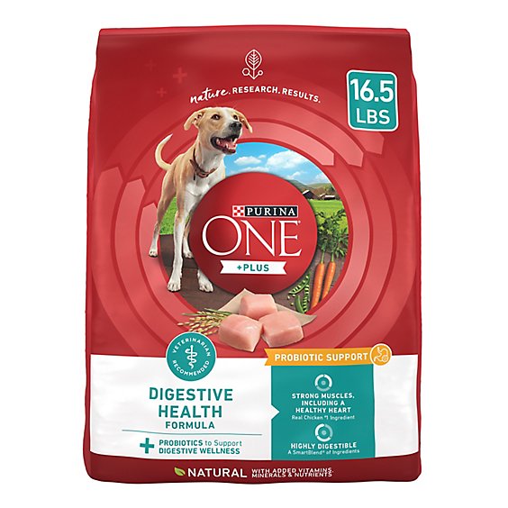 Purina ONE Digestive Health Chicken And Rice Dry Dog Food - 16.5 Lb