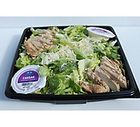 Salad Chicken Caesar