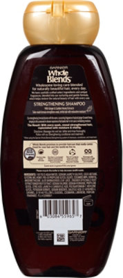 Garnier Whole Blends Shampoo Strengthening Ginger Recovery - 12.5 Fl. Oz. - Image 5