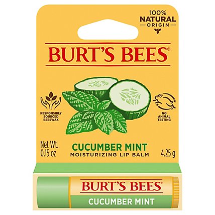 Burt's Bees Cucumber Mint Moisturizing Lip Balm - 1 Count - Image 1