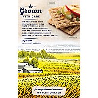 Triscuit Crackers Wheat Whole Grain Cheddar - 8.5 Oz - Image 6