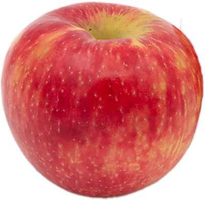 Cosmic Crisp Apple - Image 1