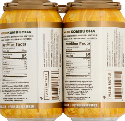 Flying Embers Lemon Orchard Kombucha - 6-12 Fl. Oz. - Image 6