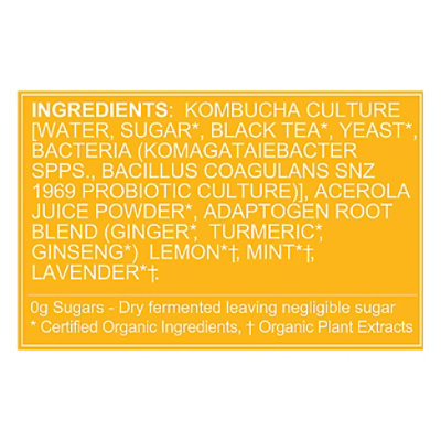 Flying Embers Lemon Orchard Kombucha - 6-12 Fl. Oz. - Image 5