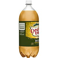 Canada Dry Bold Ginger Ale - 2 Liter - Image 6