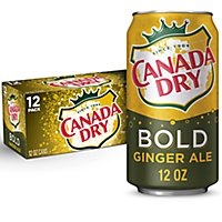 Canada Dry Bold Ginger Ale Soda Cans - 12-12 Fl. Oz. - Image 1