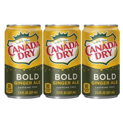 Canada Dry Bold Ginger Ale Soda Mini Cans  - 6-7.5 Fl. Oz. - Image 3