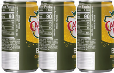 Canada Dry Bold Ginger Ale Soda Mini Cans  - 6-7.5 Fl. Oz. - Image 6