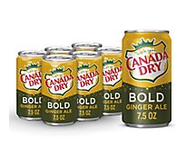 Canada Dry Bold Ginger Ale Soda Mini Cans  - 6-7.5 Fl. Oz.