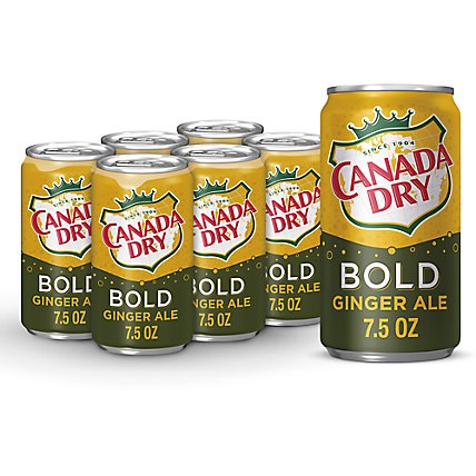 Canada Dry Bold Ginger Ale Soda Mini Cans  - 6-7.5 Fl. Oz. - Image 1