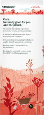 Chobani Extra Creamy Plant-Based Oatmilk - 52 Fl. Oz. - Image 6
