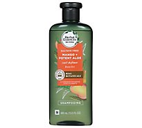 Herbal Essences Bio Renew Curl Definer Sulfate Free Shampoo Mango + Potent Aloe - 13.5 Fl. Oz.