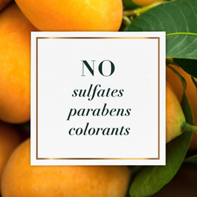 Herbal Essences Bio Renew Curl Definer Conditioner with Mango + Potent Aloe - 13.5 Fl. Oz. - Image 3