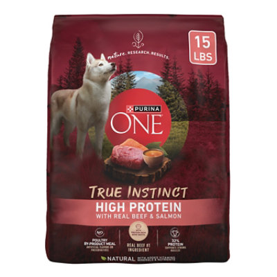 Purina ONE Smartblend Beef & Salmon Dry Dog Food - 15 Lb - Image 1