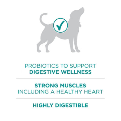 Purina ONE Digestive Health Chicken And Rice Dry Dog Food - 8 Lb - Image 5