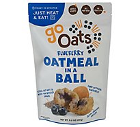 Gooats Oatmeal Bite Blueberry - 9.2 Oz