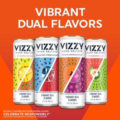 Vizzy Variety Pack Hard Seltzer Beer 5% ABV Cans - 12-12 Fl. Oz. - Image 2