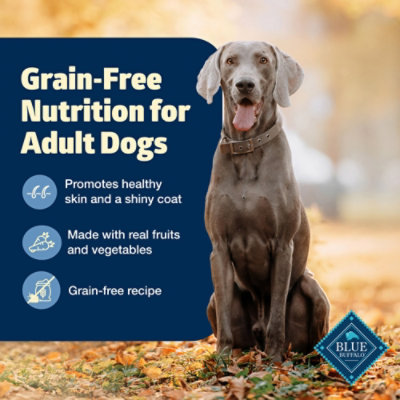 Blue Buffalo Freedom Grain Free Chicken Potatoes Dry Dog Food Bag 11 Lb jewelosco