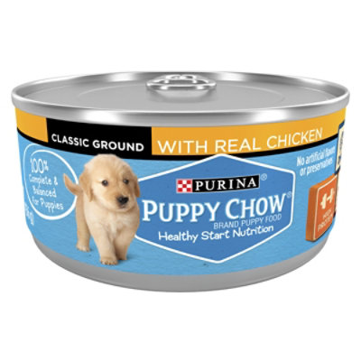 Puppy Chow Dog Food Wet Ground Chicken - 5.5 Oz