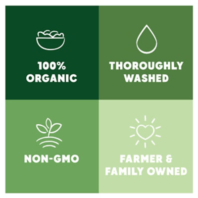 Veggie Tray Organic 16oz - 16 Oz - Image 4